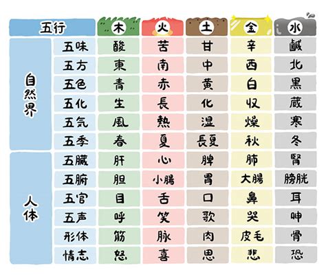 五行 體の部位